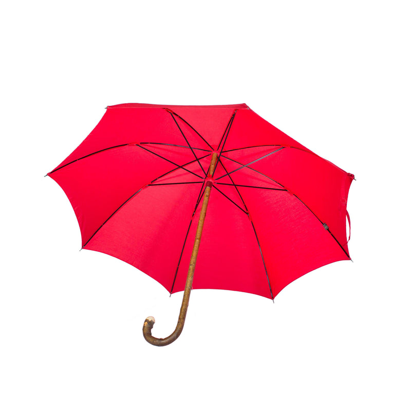 Mario Talarico unstripped Elm umbrella L1005759